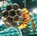 Apache Paper Wasp - photo 4