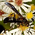 Parametric Paper Wasp - photo 3