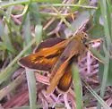 Long Dash - Hodges#4043 - photo 2