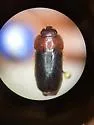 Pseudomorpha excrucians - photo 2