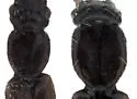 Renardia nigrella - Renardia nigrella