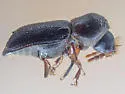 Lead Cable Borer - photo 2