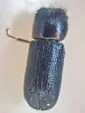 Lead Cable Borer - photo 3