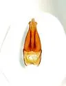 Selatosomus appropinquans - photo 5