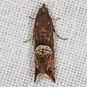 Speckled Sereda - Hodges#3425 - photo 3