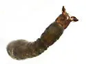 Simulium (Simulium) tuberosum - photo 2