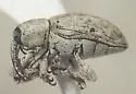 Smicronyx corniculatus