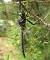Treetop Emerald - photo 2