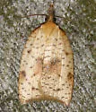 Mosaic Sparganothis Moth - Hodges#3706 - photo 2
