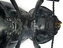 Stenomorpha vigens - photo 2