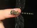 Eastern Least Clubtail - photo 2