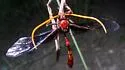 Thyreodon ornatipennis - photo 4