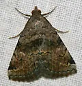 Cruel Toxonprucha - Hodges#8674 - photo 2