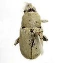 Texas Solanum Weevil