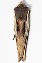 American Swordgrass Moth - Hodges#9873 - photo 4
