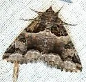 Zale colorado - Hodges#8715